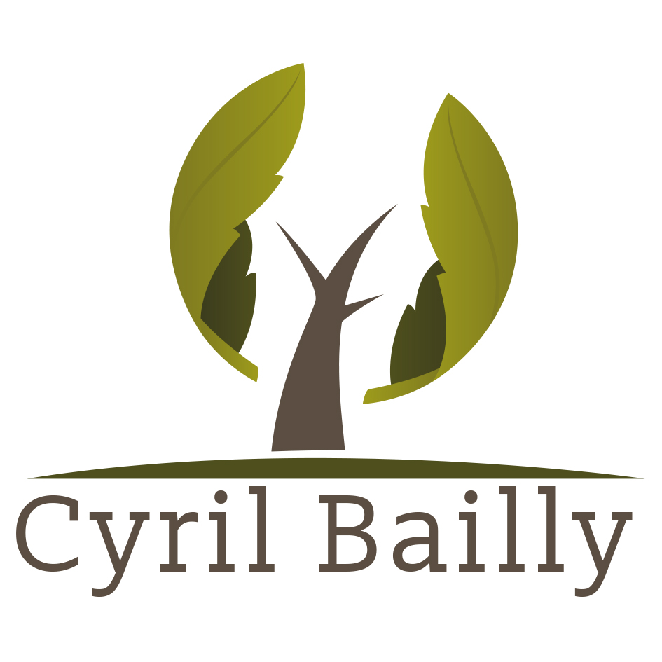 Logo CYRIL BAILLY EIRL