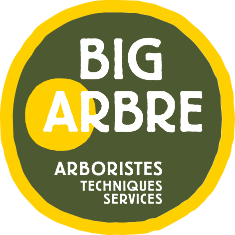 Logo BIG ARBRE