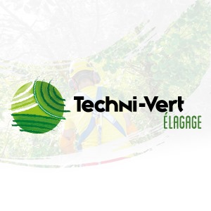 Logo TECHNI-VERT 17