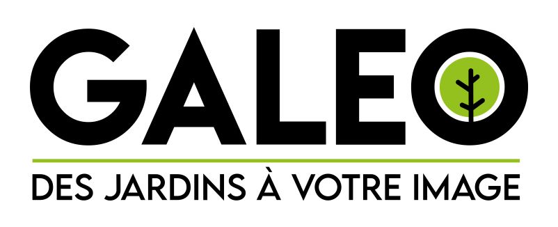 Logo GALEO