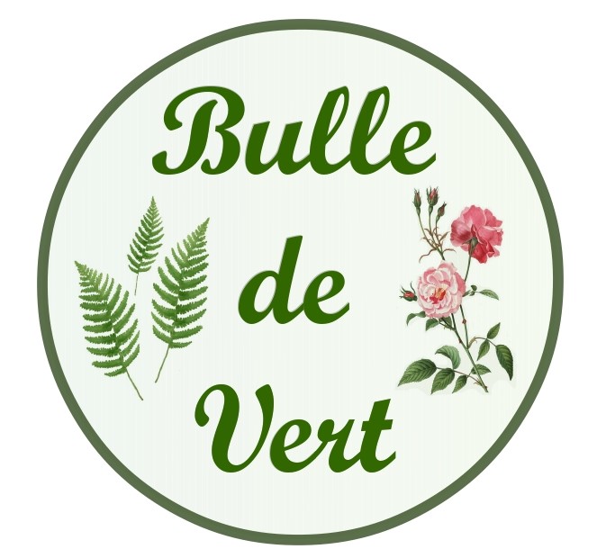 Logo BULLE DE VERT