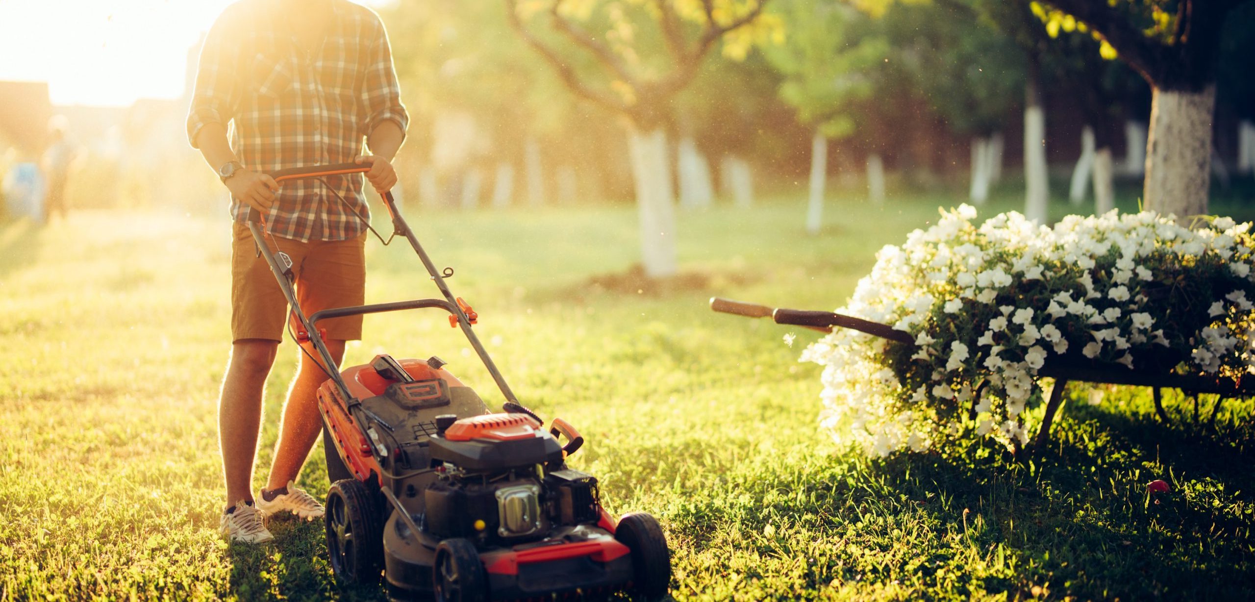 L'entretien du jardin à chaque saison | UNEP