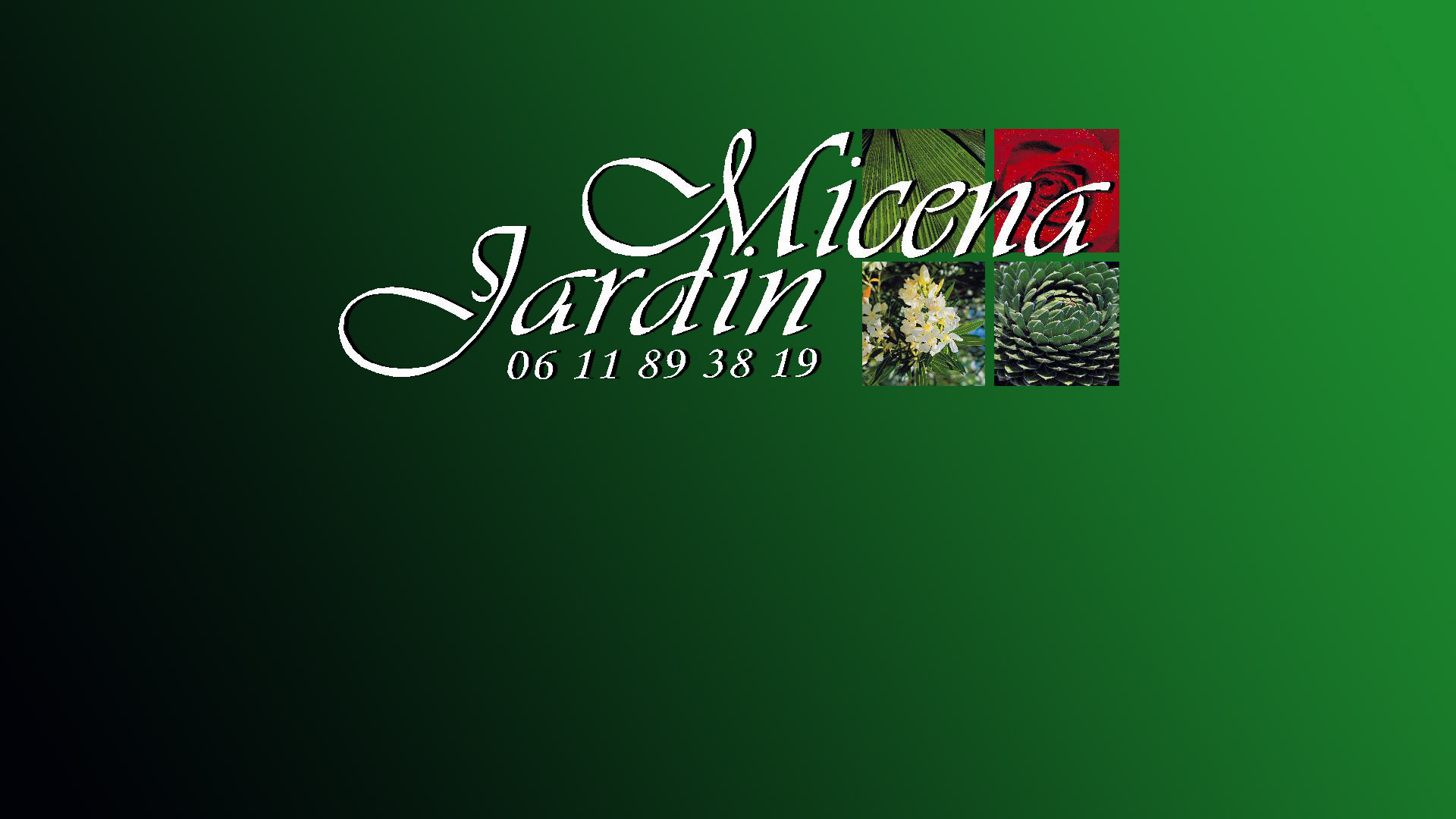 Logo MICENA JARDIN