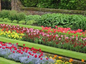 Parterre De Fleurs