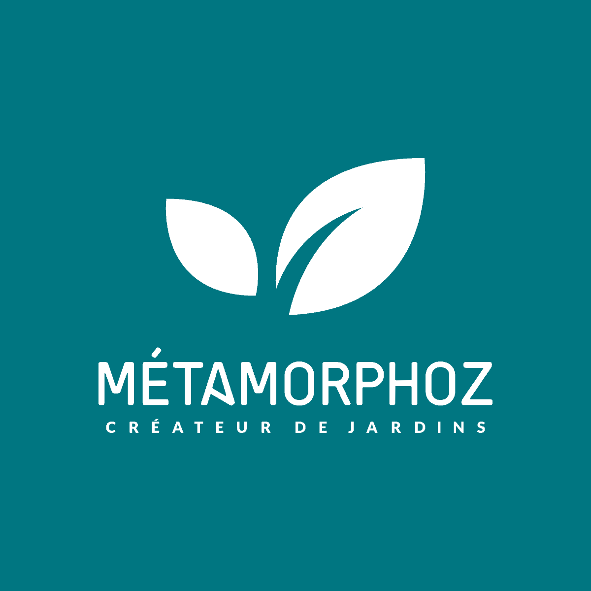 Logo DVL METAMORPHOZ