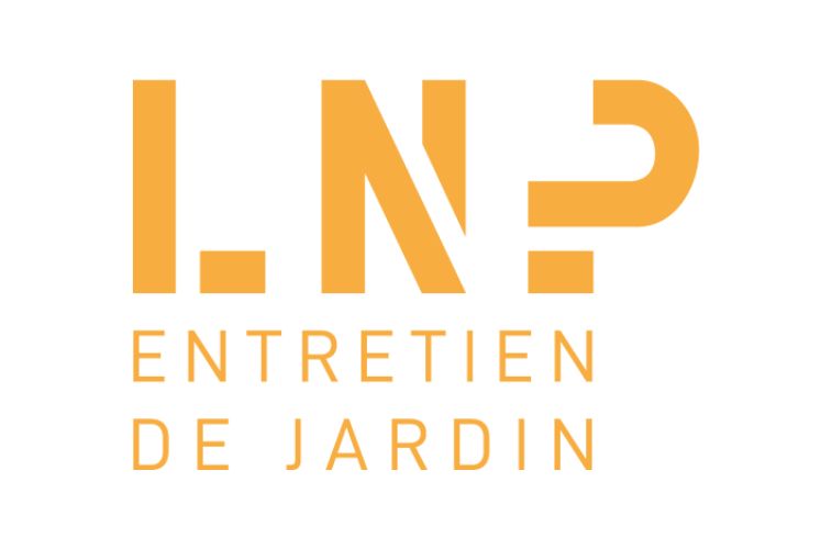 Logo LNP SERVICES