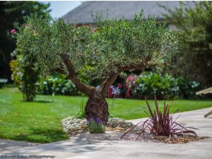 Création de Jardinier Paysager