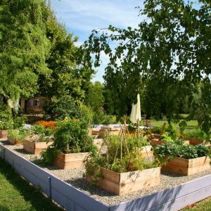 Comment faire un jardin potager ?