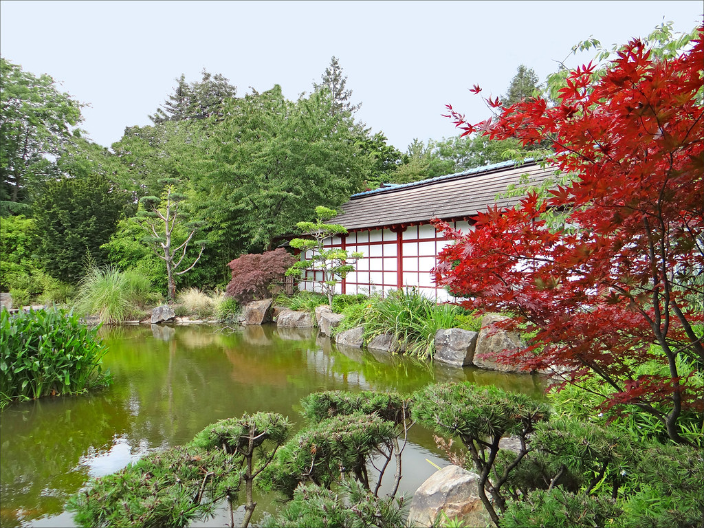 Jardin Japonais 2