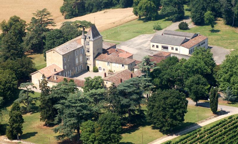 Château de Mons