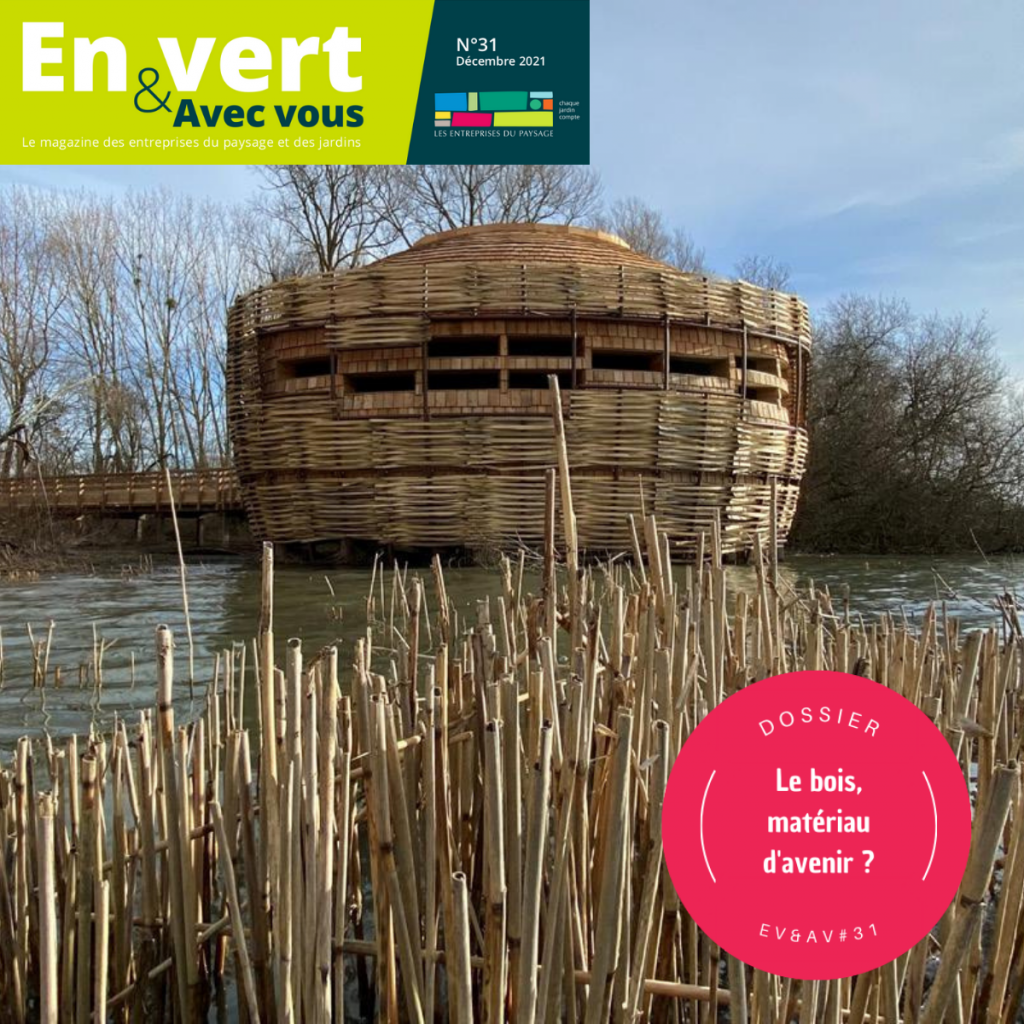 Dossier sur le bois