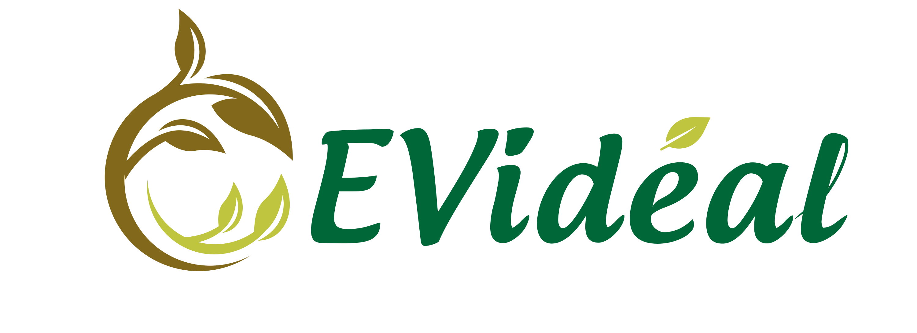 Logo EVIDEAL