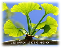 Logo LES JARDINS DE GINGKO