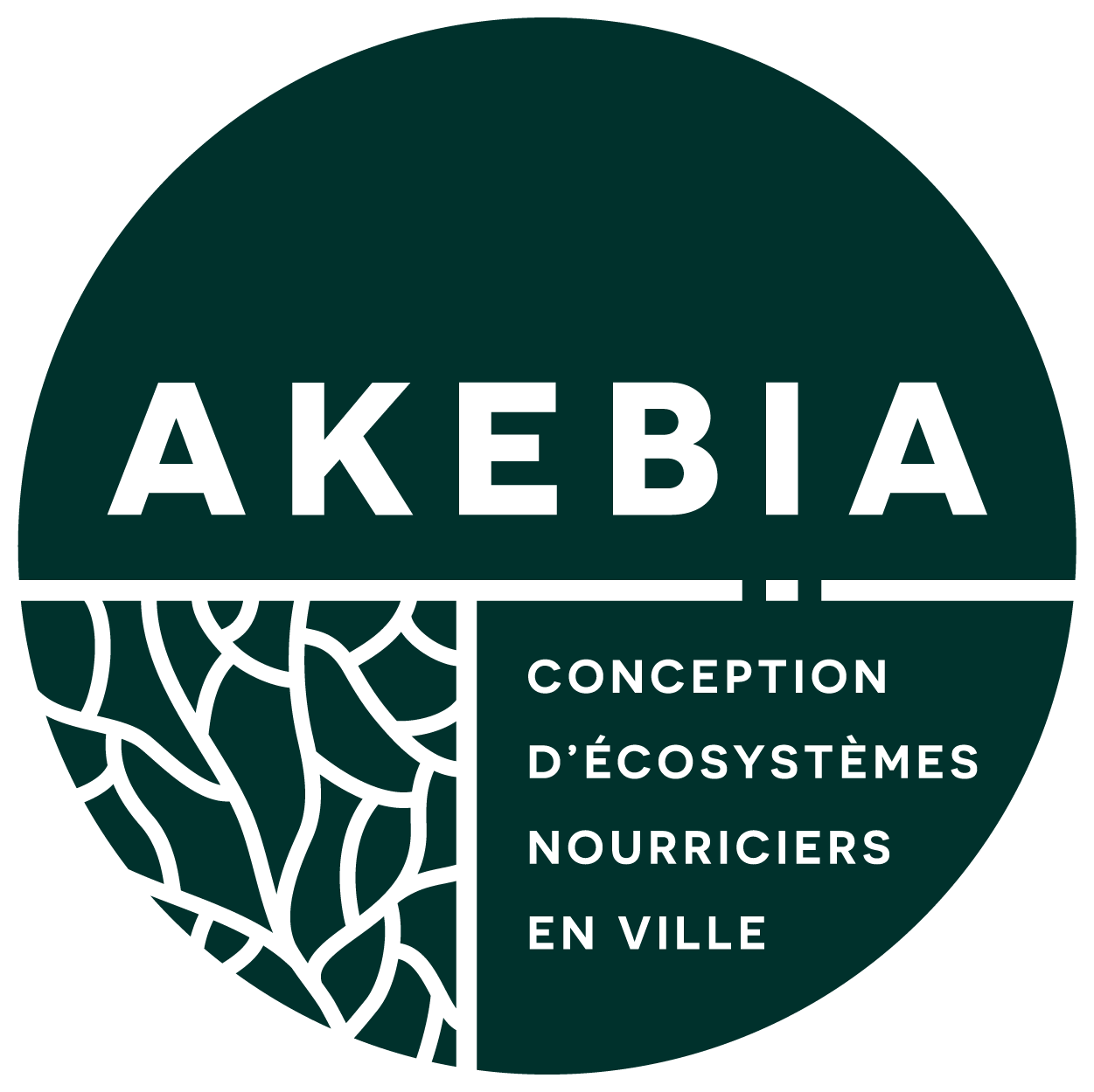 Logo AKEBIA