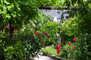 Un jardin sans pesticide