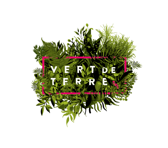 Logo VERT DE TERRE PAYSAGE