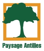 Logo PAYSAGE ANTILLES TRAVAUX PUBLICS