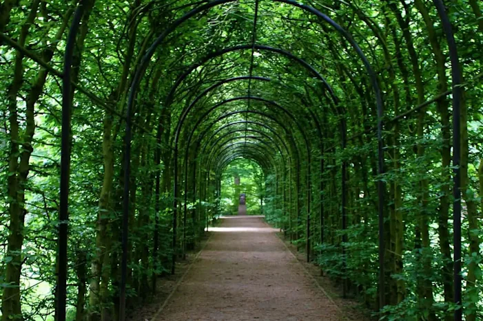 tunnel d'arches de jardin végétalisé