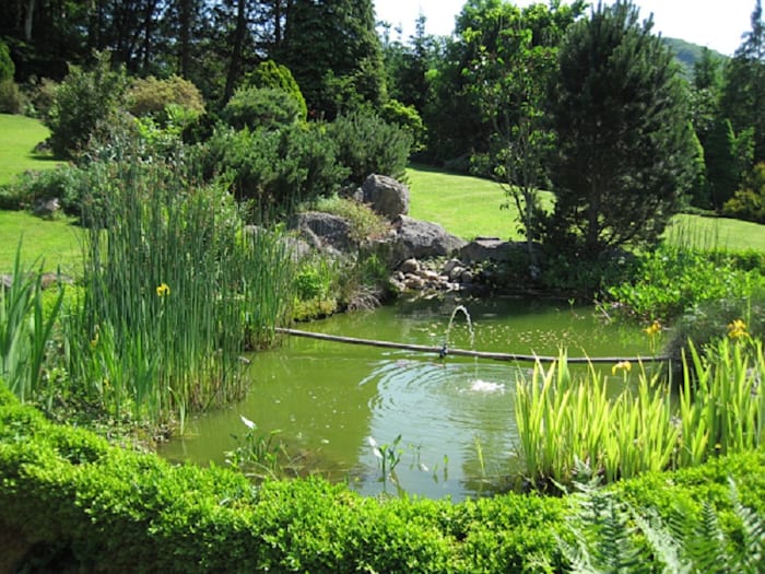 Construire un bassin de jardin