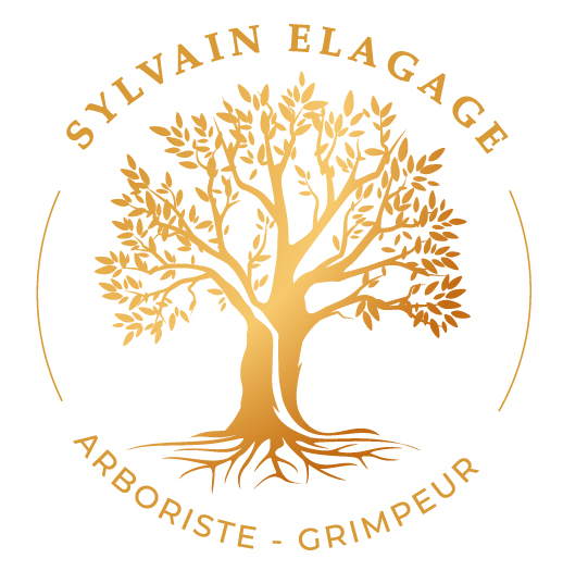 Logo SYLVAIN ELAGAGE