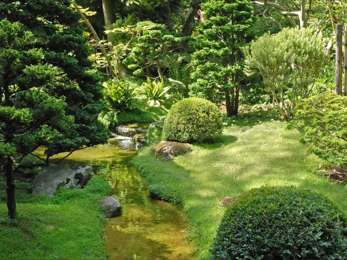 Qu'est-ce qu'un jardin japonais et comment le créer ?