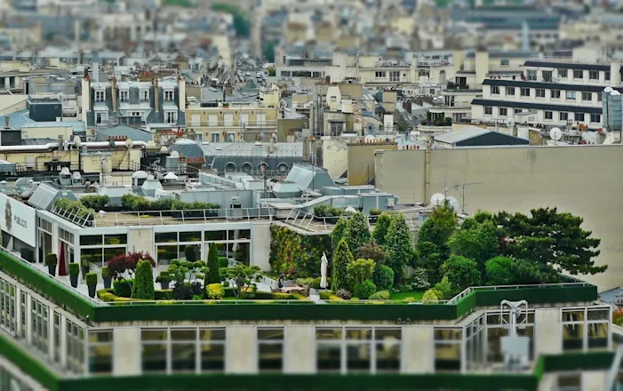 Terrasse aménagée