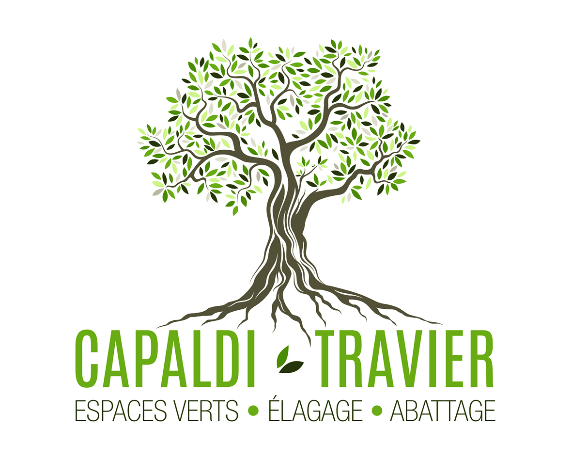 Logo CAPALDI-TRAVIER SAS