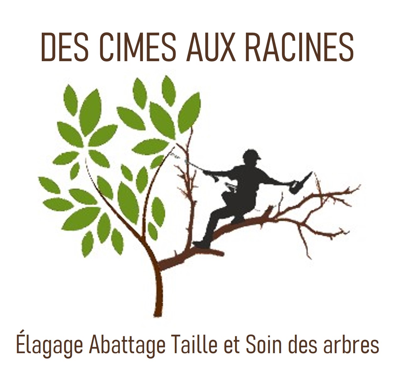 Logo DES CIMES AUX RACINES