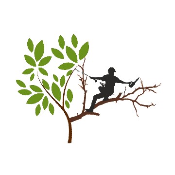 Logo DES CIMES AUX RACINES