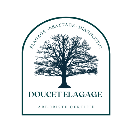 Logo DOUCET ÉLAGAGE