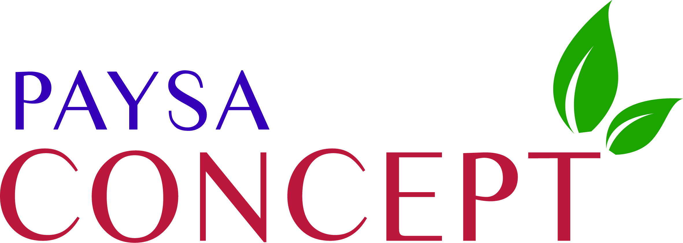 Logo PAYSA CONCEPT