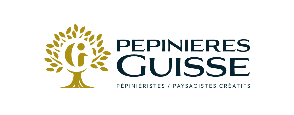 Logo GUISSE ENTREPRISE
