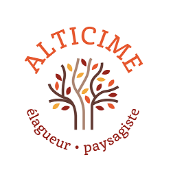 Logo ALTICIME