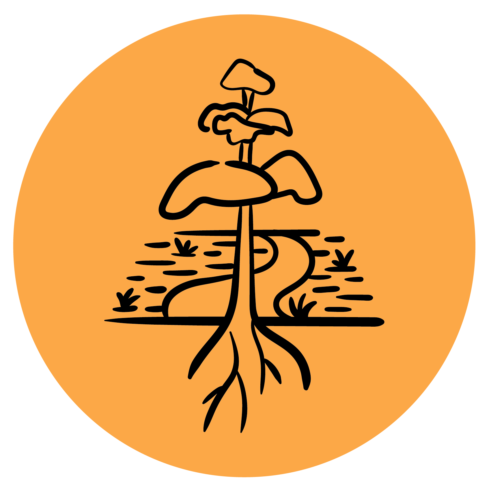 Logo ALLAIN ERIC