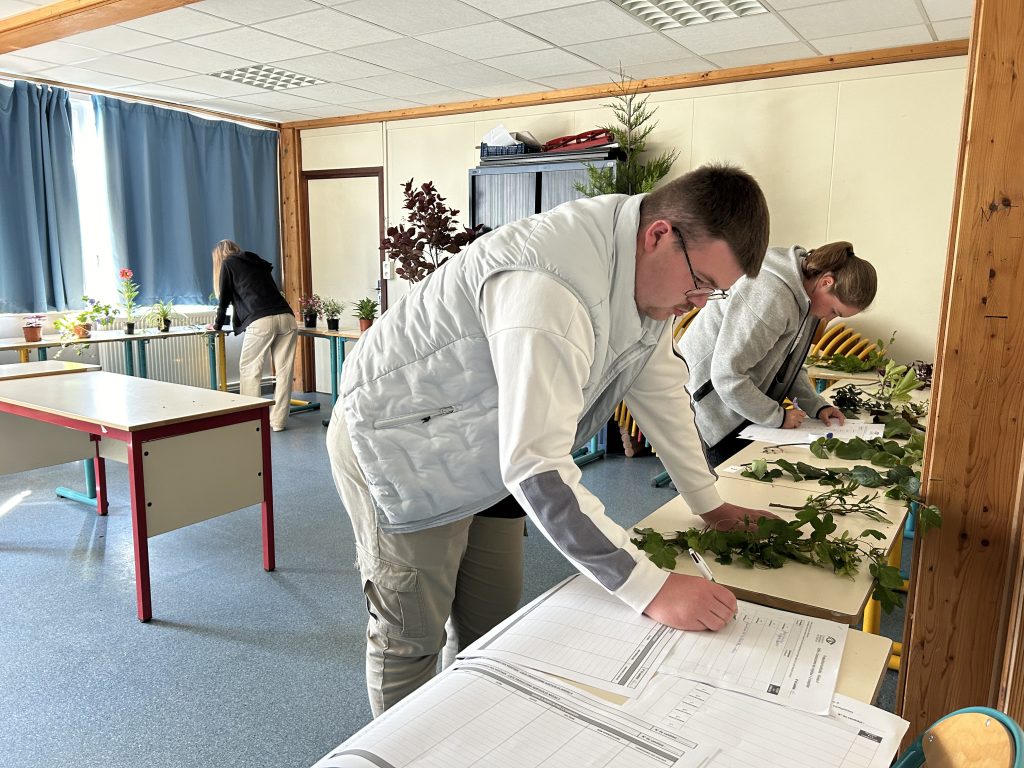 Déroulement des épreuves 2025 au Lycée Horticole de Lomme