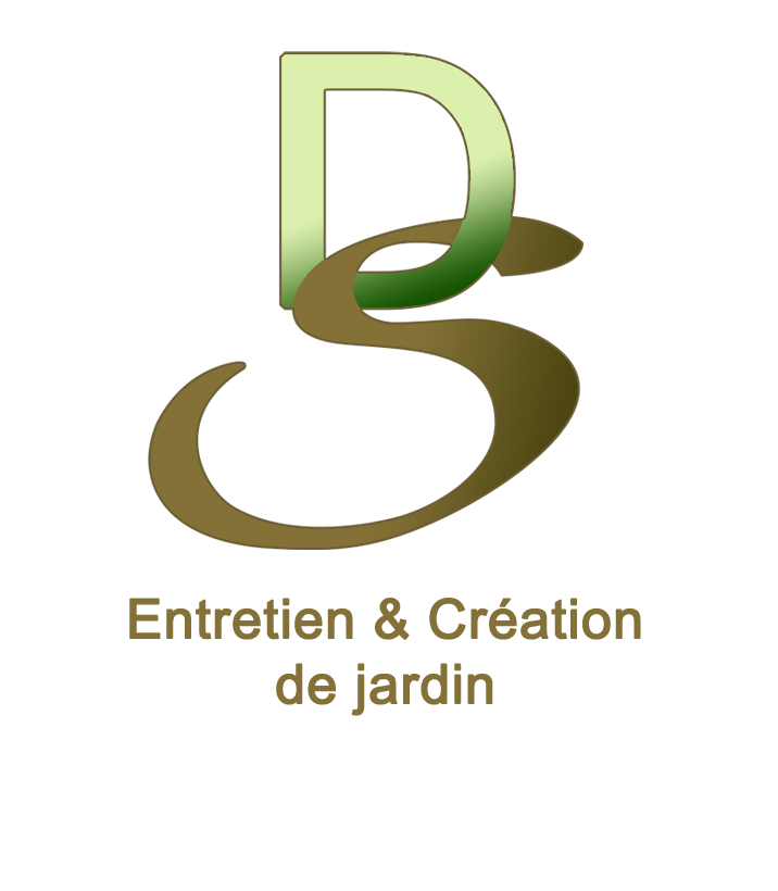 Logo D&S