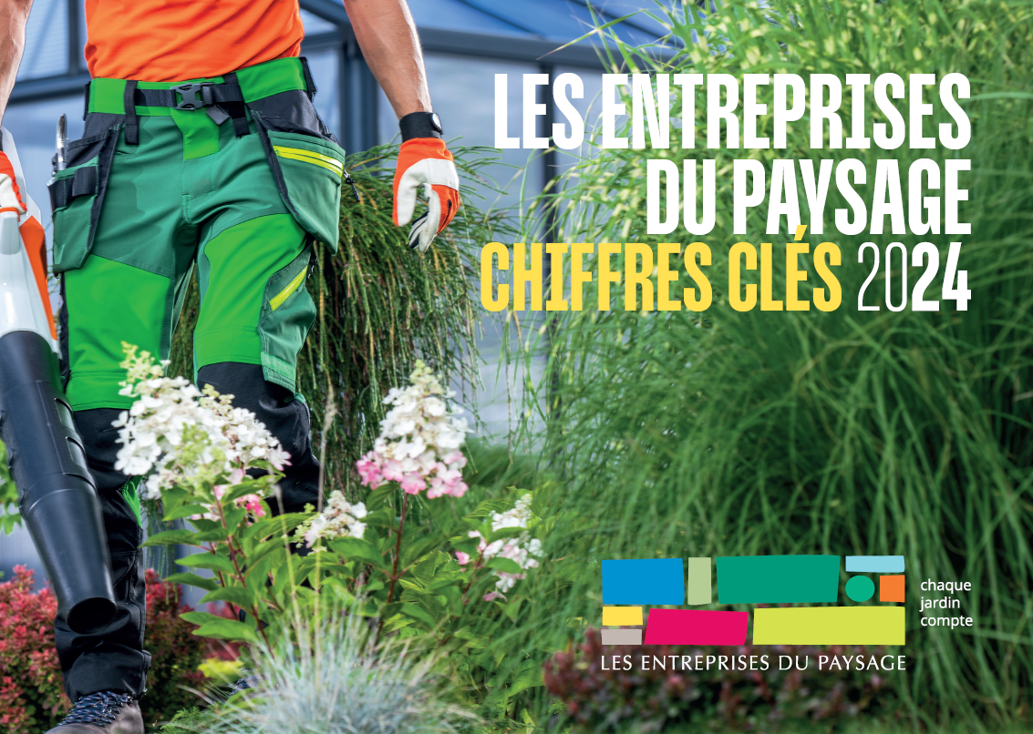 Illustration Webinaire de présentation des chiffres clés 2025
