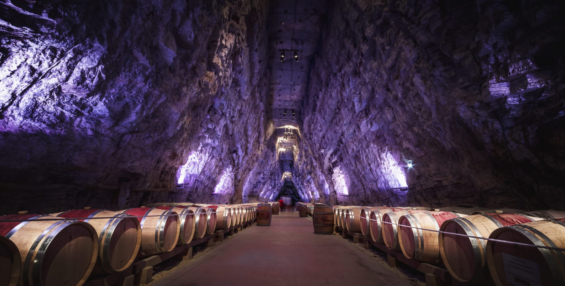 Illustration Assemblée Générale élective 2026 Unep Occitanie