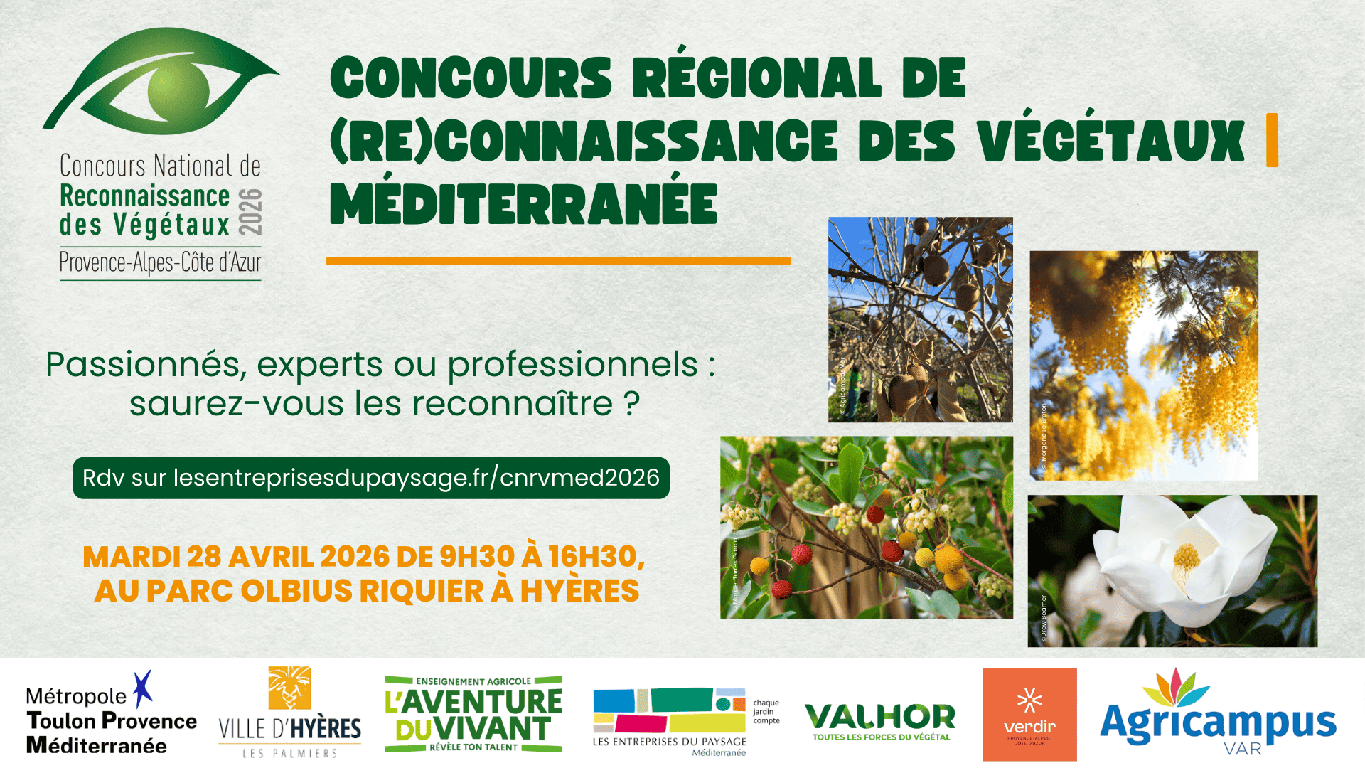 Illustration Concours régional de (re)connaissance des végétaux 2026| Méditerranée