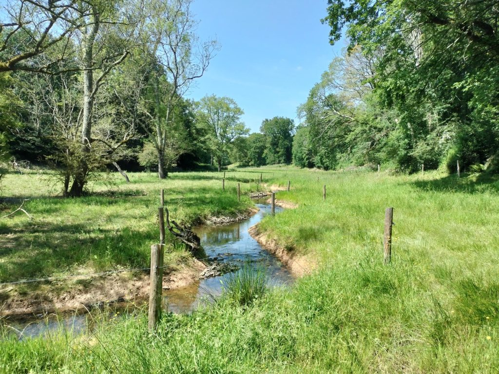 Exemple de réalisation en génie écologique