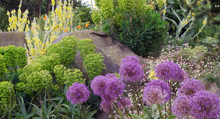 Illustration 5e édition Jardins et Paysages