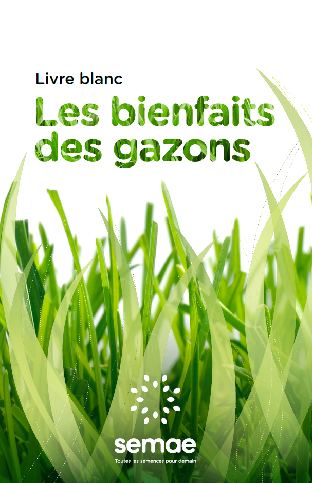 Illustration SEMAE publie un livre blanc consacré aux bienfaits des gazons