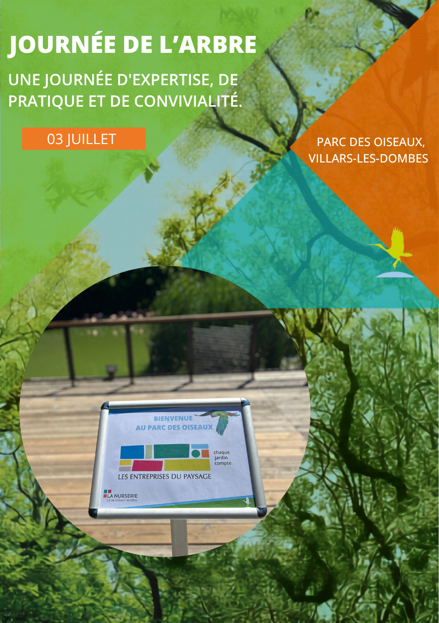 Illustration 100 professionnels, 1 journée, 1 mission : l’excellence au service de l’arbre